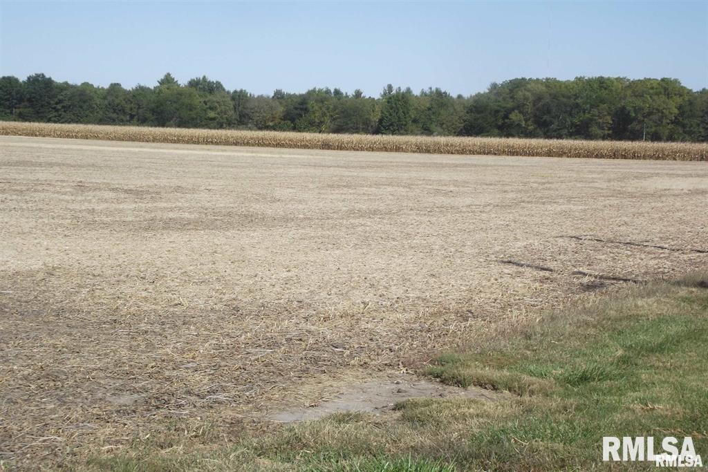 990 Jostes Road Rochester, IL 62563 - Photo 1 of 1