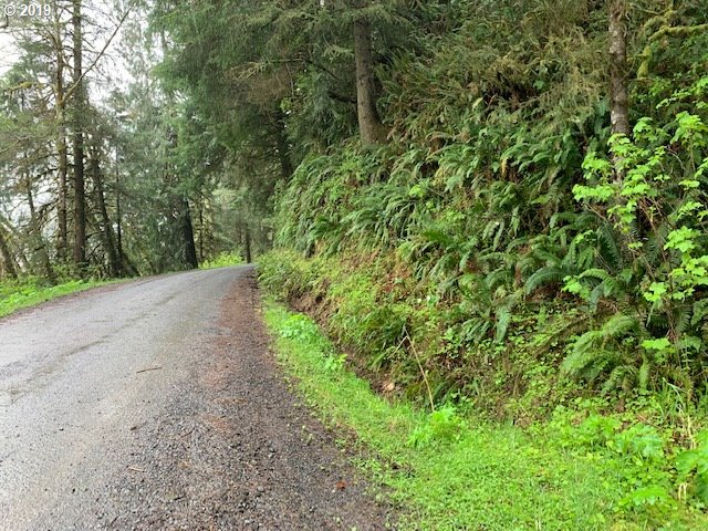 Bernhardt Creek Road Mapleton, OR 97453 - Photo 1 of 11 Gallery Image 1