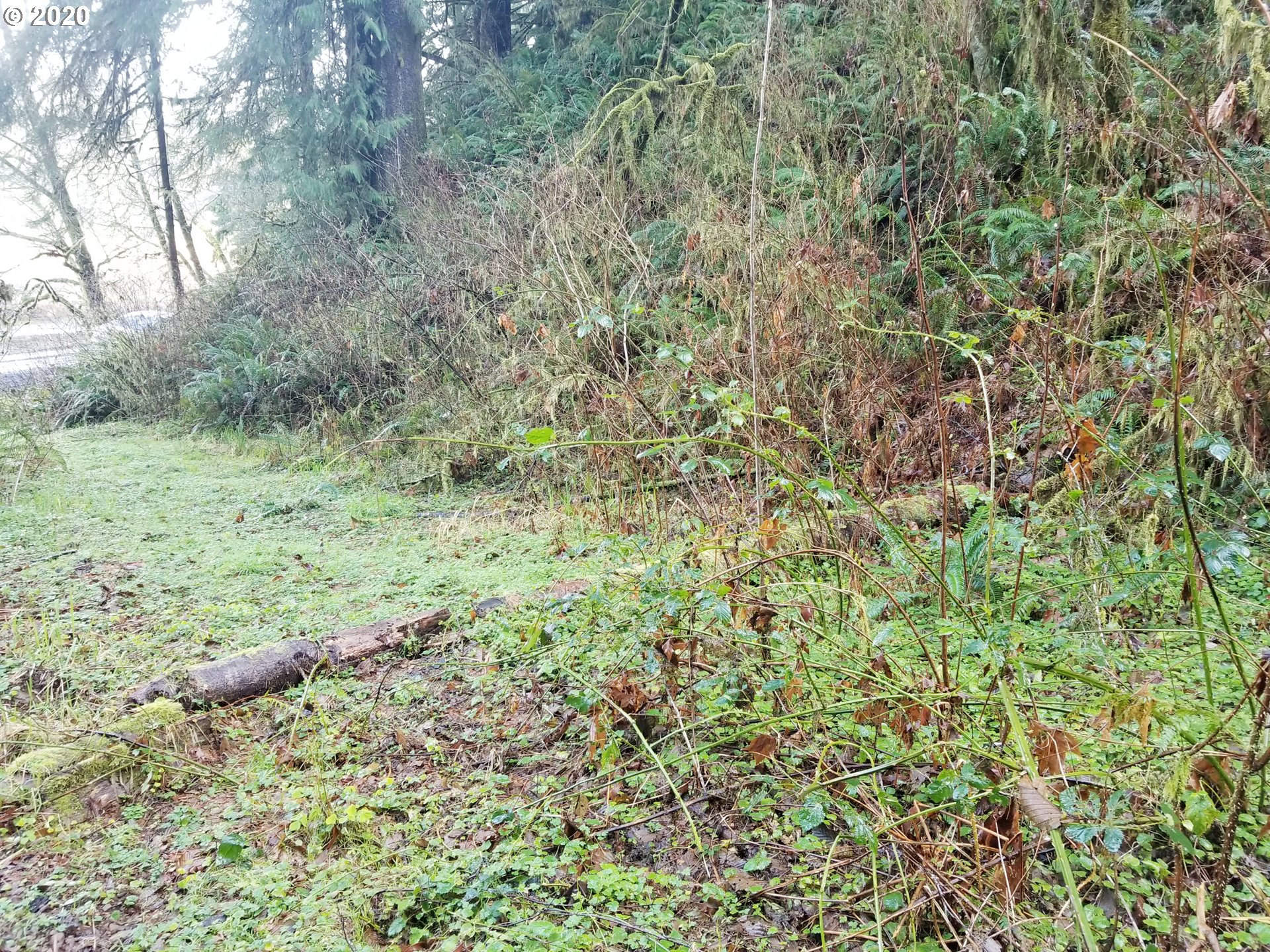 Bernhardt Creek Road Mapleton, OR 97453 - Photo 2 of 11 Gallery Image 2