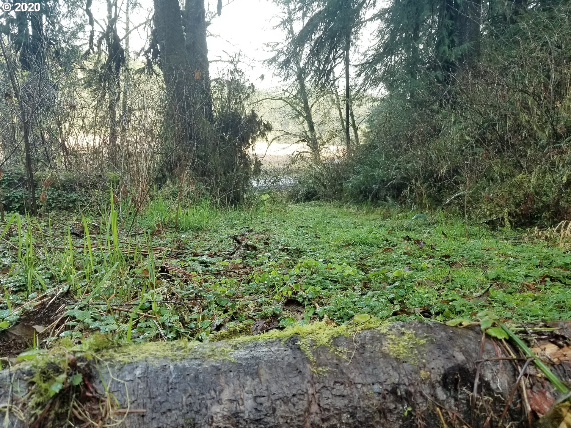 Bernhardt Creek Road Mapleton, OR 97453 - Photo 3 of 11 Gallery Image 3