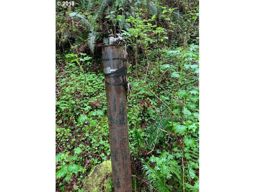 Bernhardt Creek Road Mapleton, OR 97453 - Photo 7 of 11 Gallery Image 7