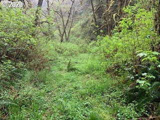Bernhardt Creek Road Mapleton, OR 97453 - Photo 8 of 11 Gallery Image 8