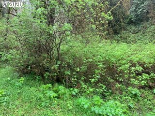 Bernhardt Creek Road Mapleton, OR 97453 - Photo 9 of 11 Gallery Image 9