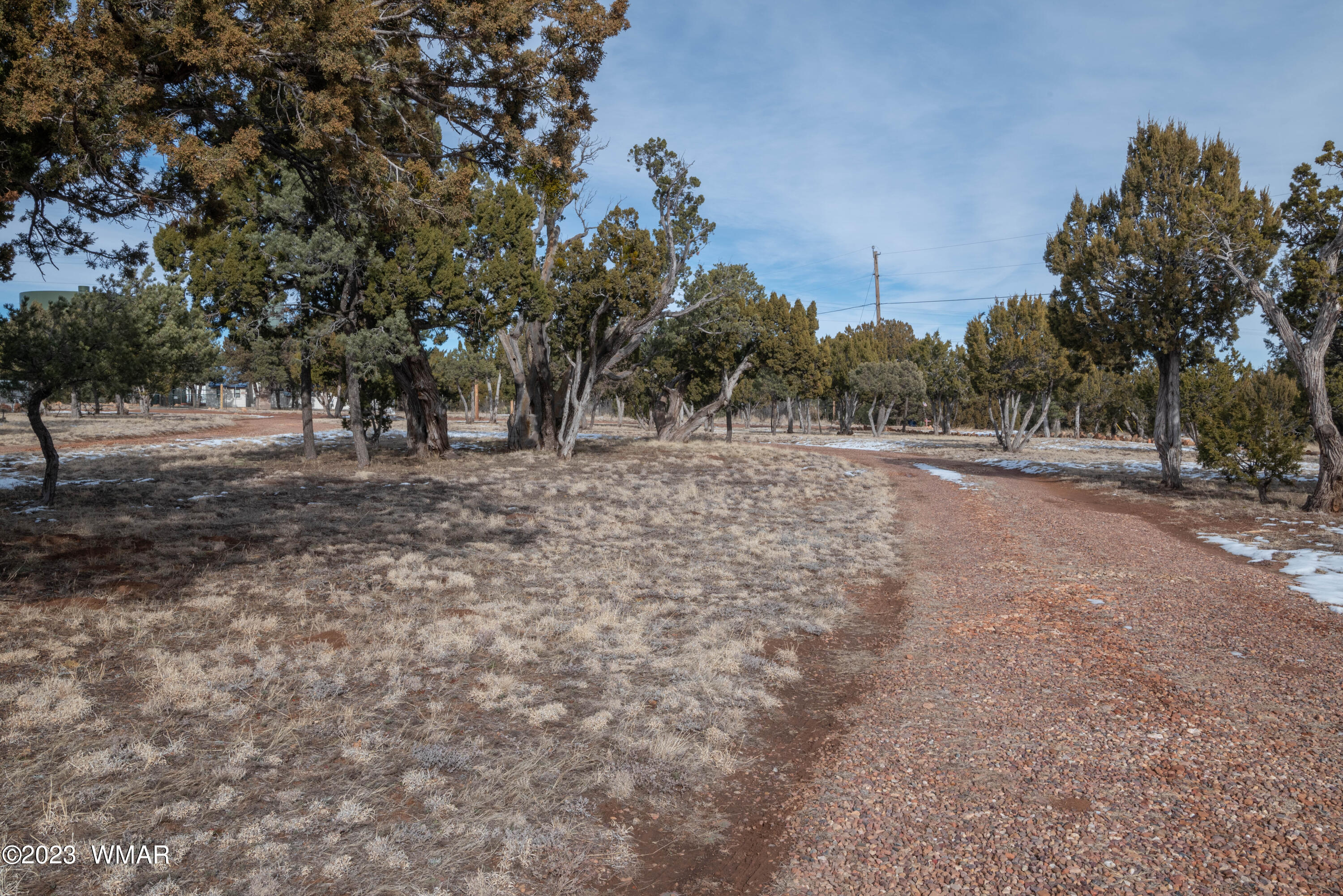 2075 Shadow Pines Drive Overgaard, AZ 85933 - Photo 11 of 15