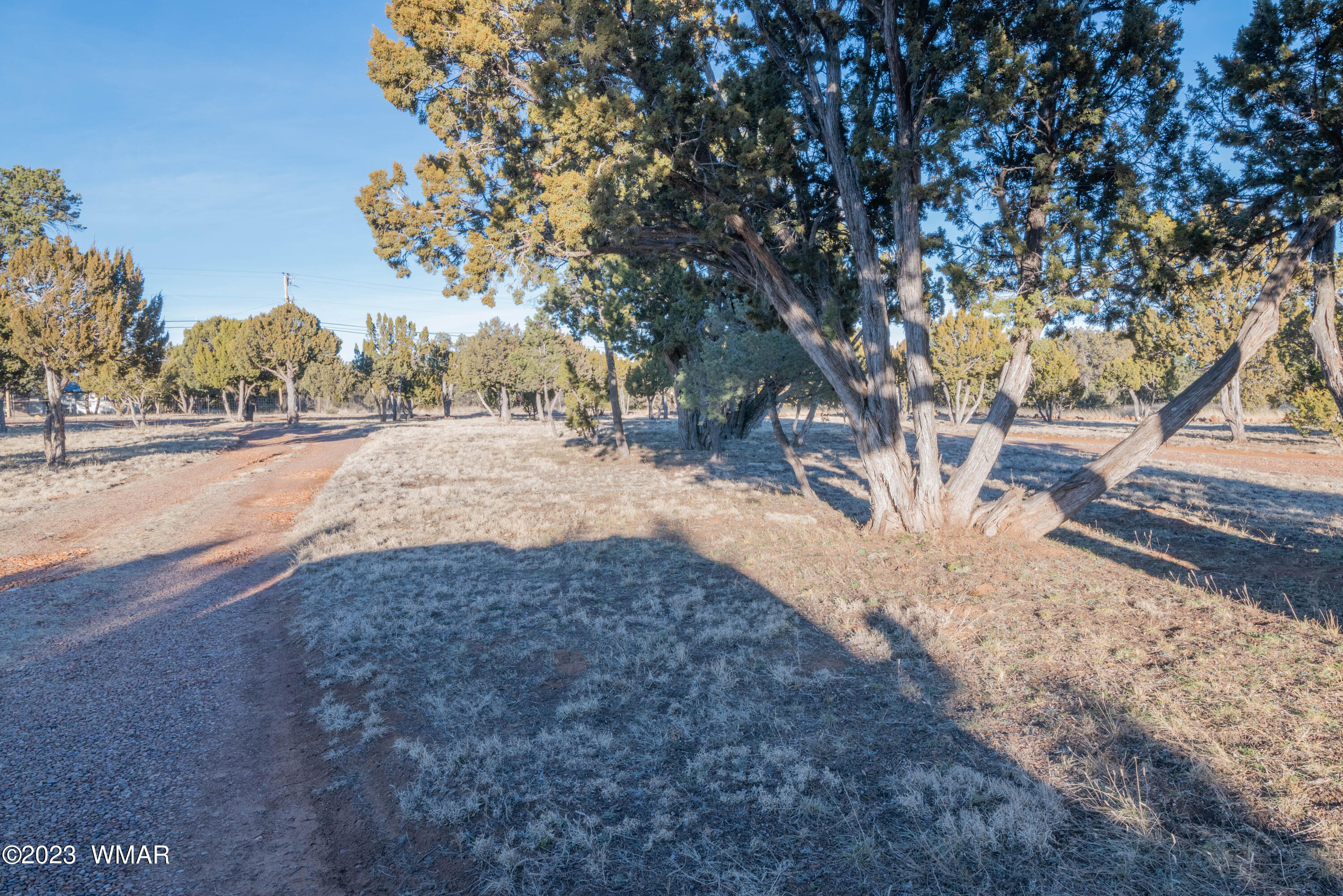 2075 Shadow Pines Drive Overgaard, AZ 85933 - Photo 12 of 15