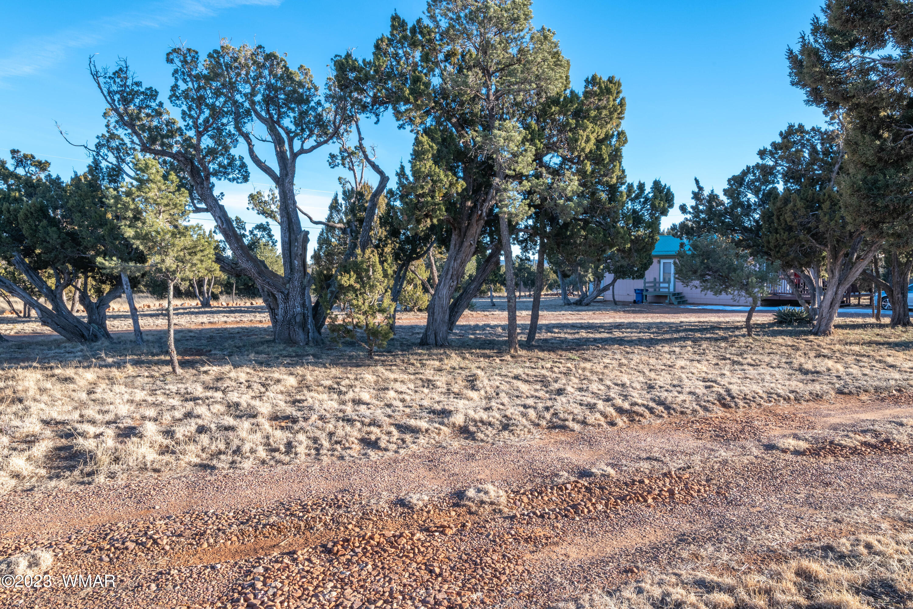 2075 Shadow Pines Drive Overgaard, AZ 85933 - Photo 13 of 15