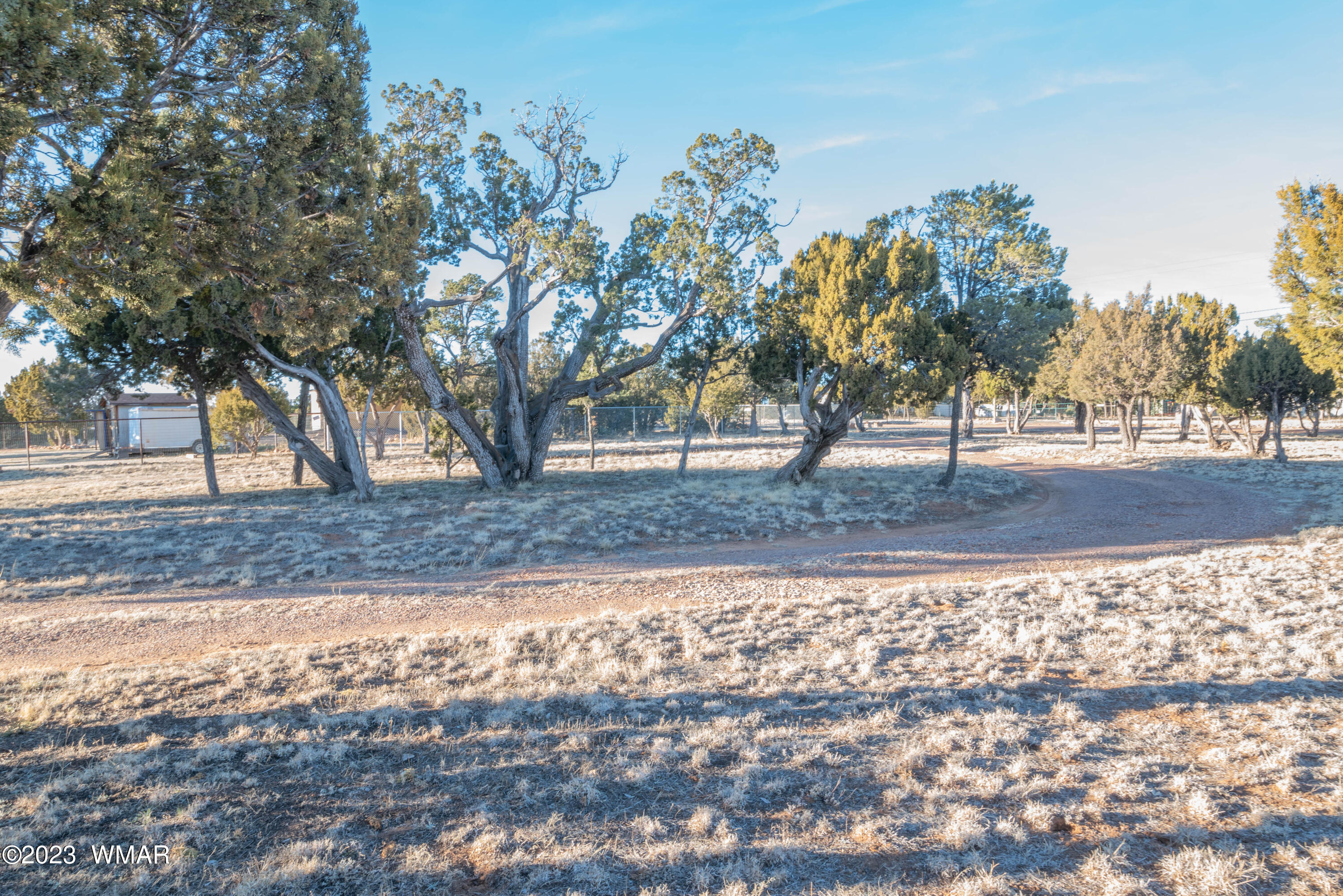 2075 Shadow Pines Drive Overgaard, AZ 85933 - Photo 14 of 15
