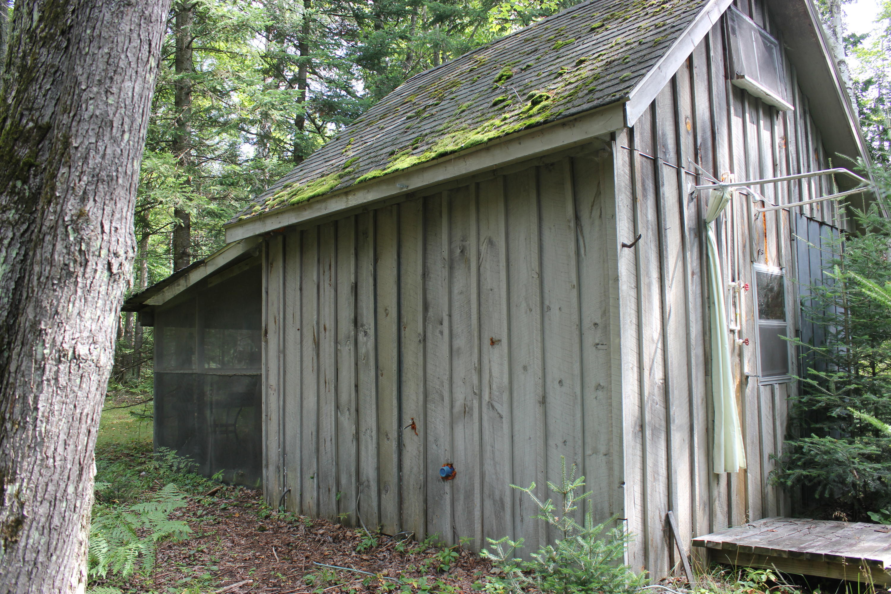 Snoopy Lane Frederic, MI 49733 - Photo 16 of 28 Gallery Image 16