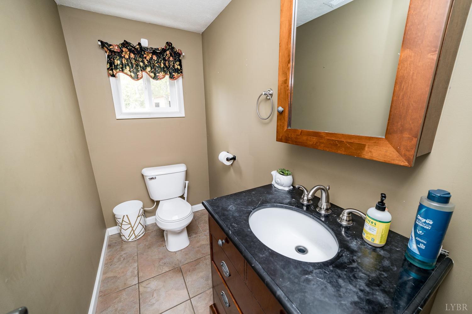 360 Theta Mill Road Gladys, VA 24554 - Photo 22 of 25 a bathroom with a granite countertop sink toilet and mirror