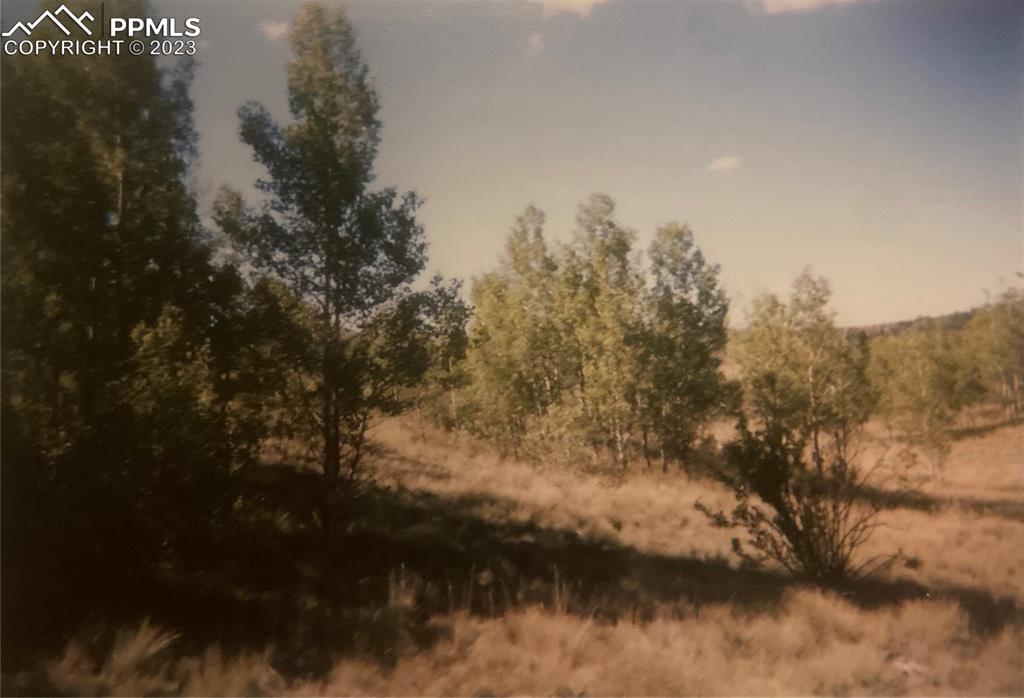 128 Ignacio Way Como, CO 80456 - Photo 3 of 11