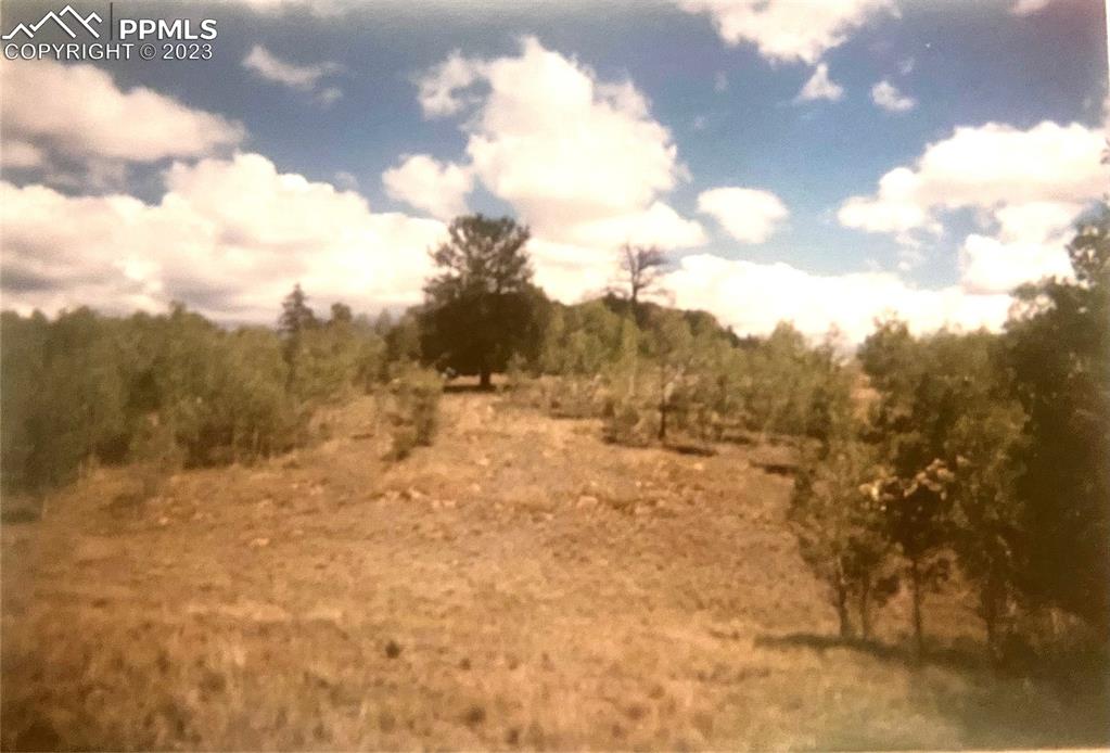 128 Ignacio Way Como, CO 80456 - Photo 10 of 11 a view of a dry yard with trees
