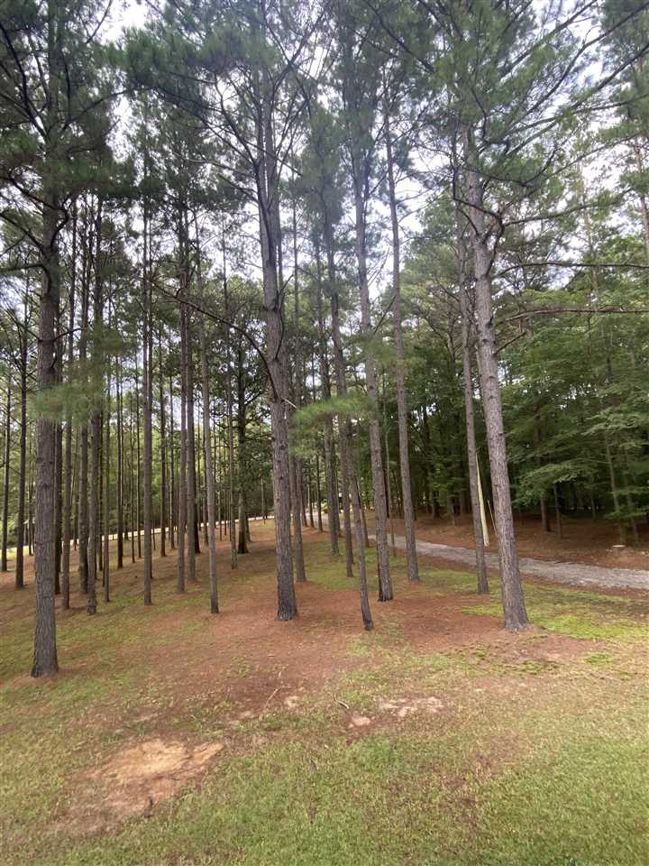 150 Pole Bridge Road Brandon, MS 39042 - Photo 17 of 18 Photo 19