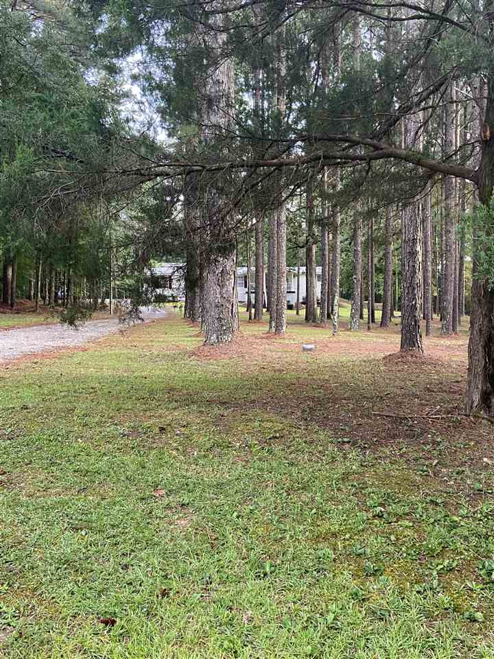 150 Pole Bridge Road Brandon, MS 39042 - Photo 18 of 18 Photo 21