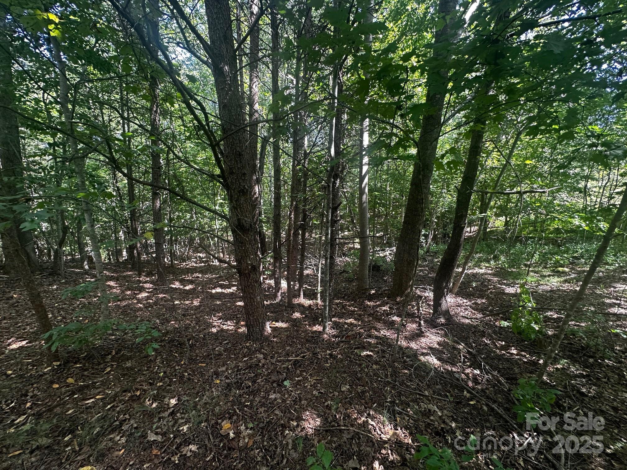 0 Lk Hvn Drive Rutherfordton, NC 28139 - Photo 11 of 12 a view of outdoor space and trees
