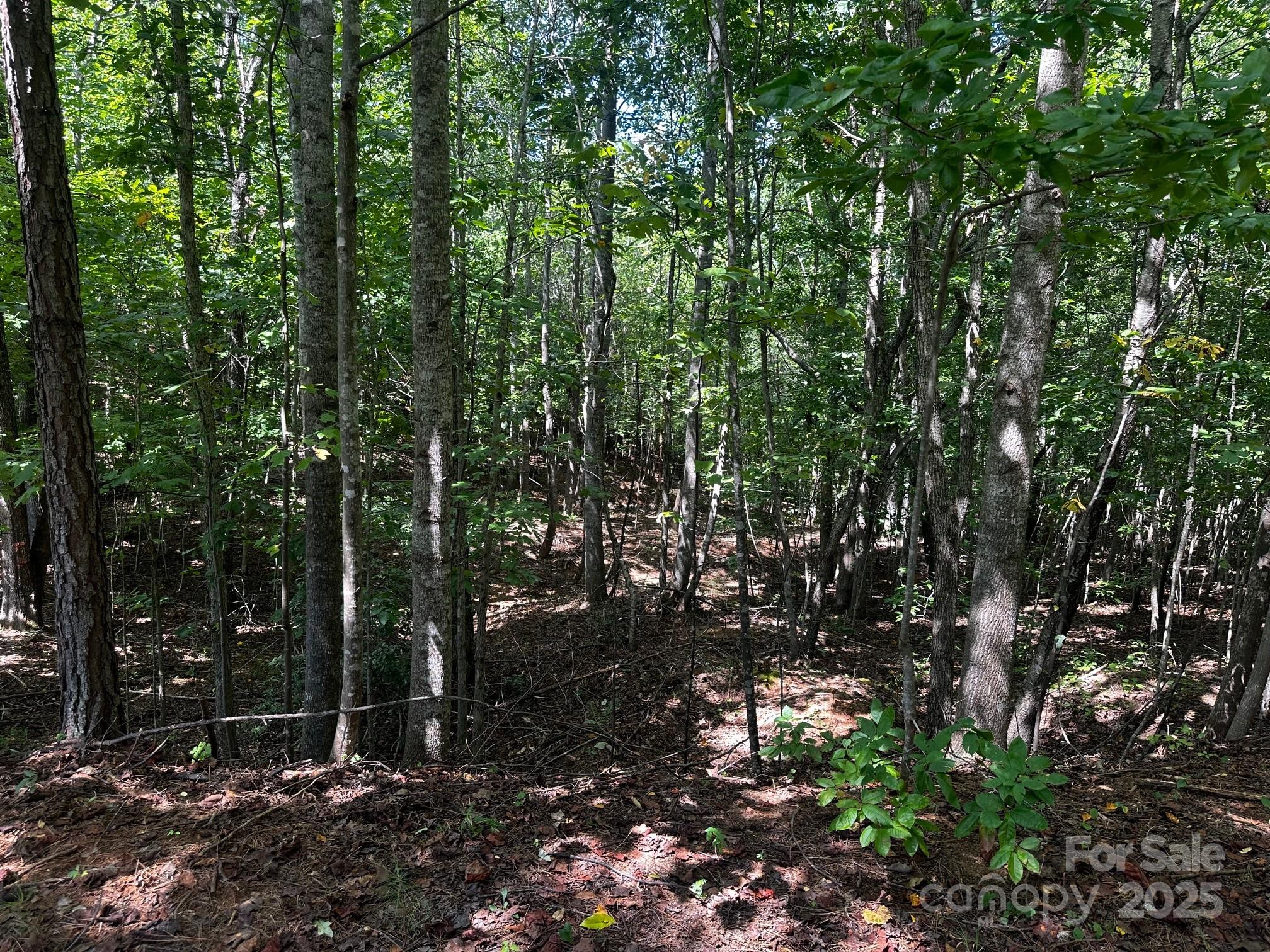 0 Lk Hvn Drive Rutherfordton, NC 28139 - Photo 3 of 12