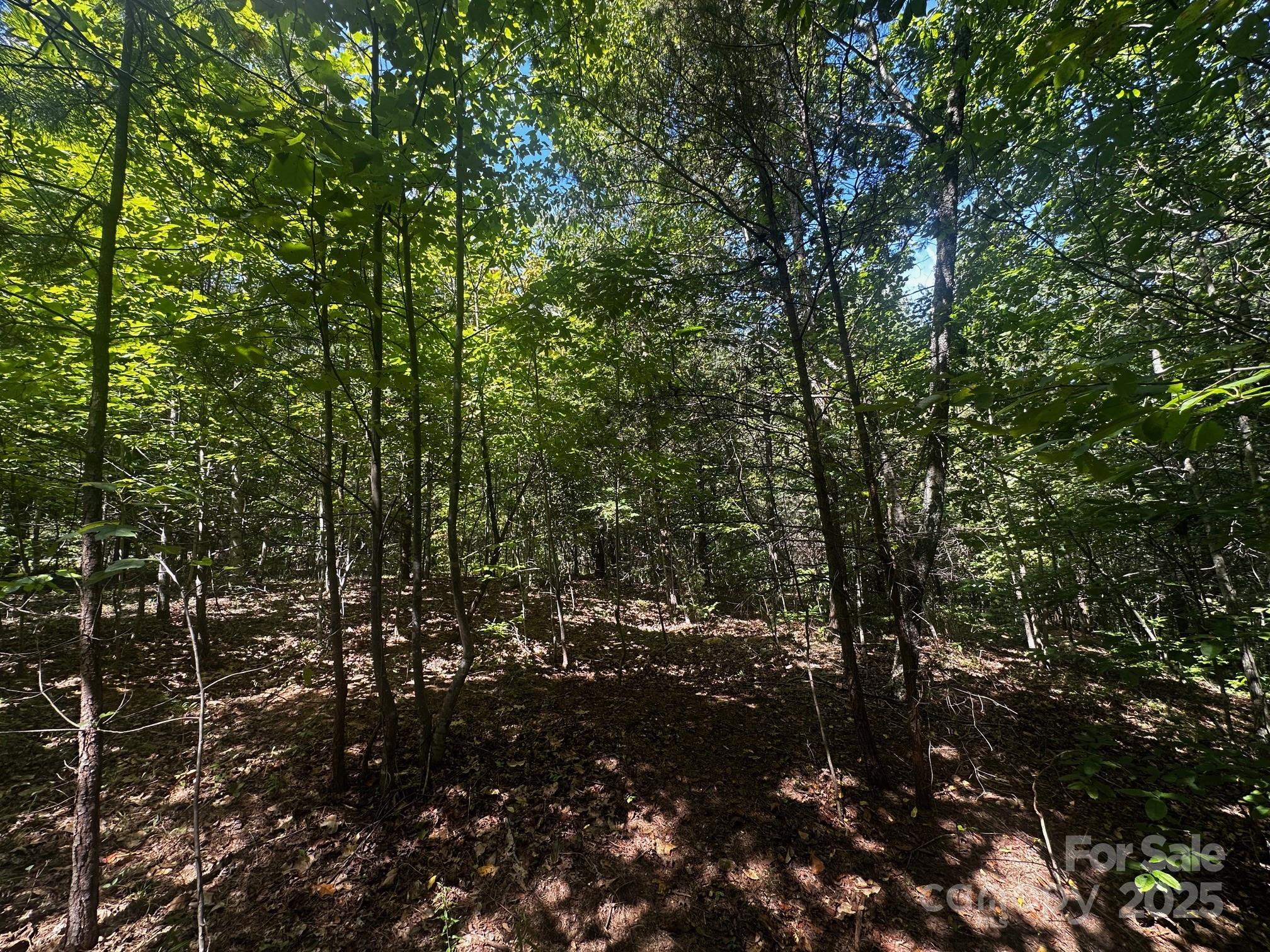 0 Lk Hvn Drive Rutherfordton, NC 28139 - Photo 9 of 12 a view of outdoor space and a yard