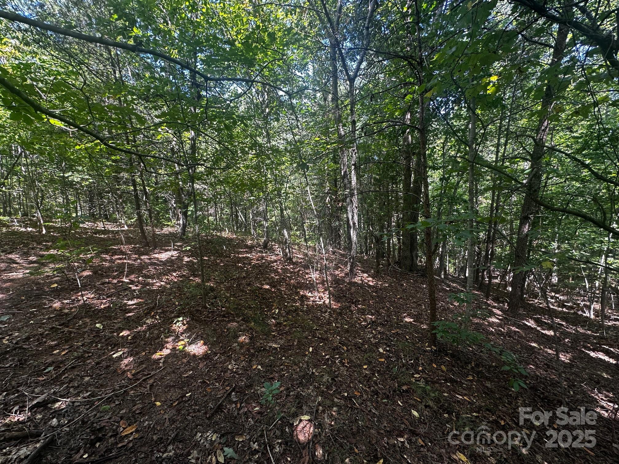 0 Lk Hvn Drive Rutherfordton, NC 28139 - Photo 10 of 12 a view of outdoor space and tree