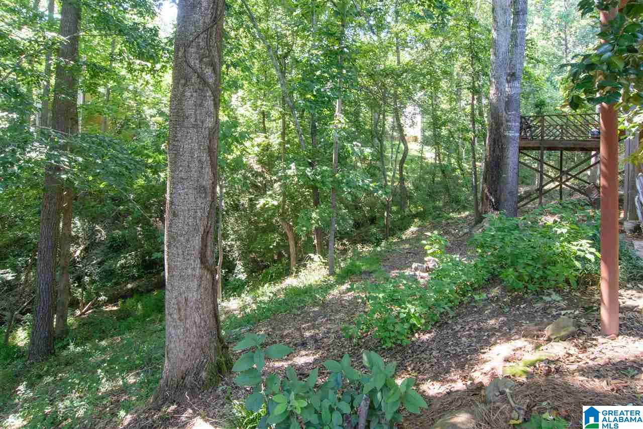 401 Stonebridge Road Irondale, AL 35210 - Photo 48 of 50