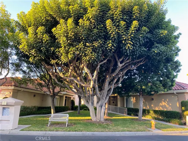 a tree in a yard next to a building