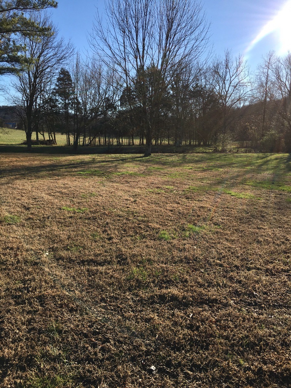 1641 Caughran Road Lewisburg, TN 37091 - Photo 24 of 24 Gallery Image 24