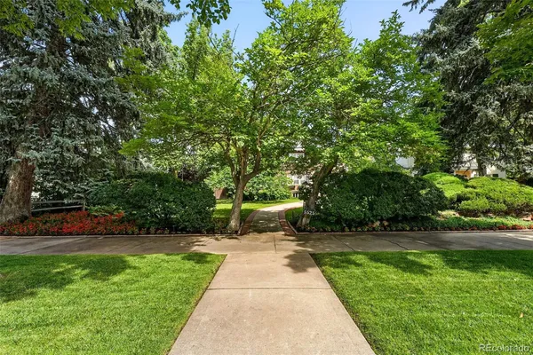 a view of yard with green space