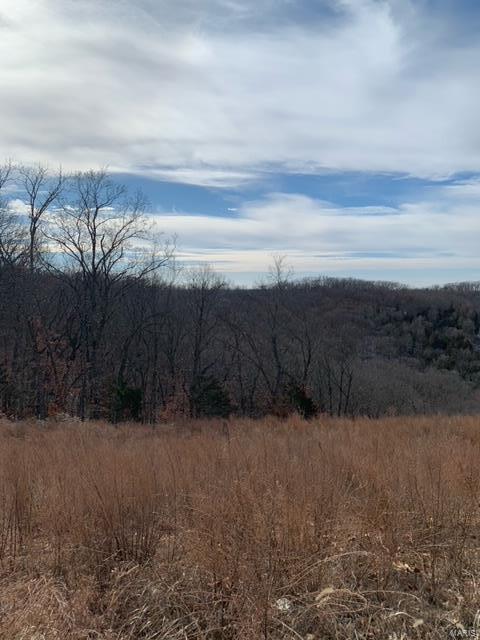 0 Davis Drive High Ridge, MO 63049 - Photo 2 of 3