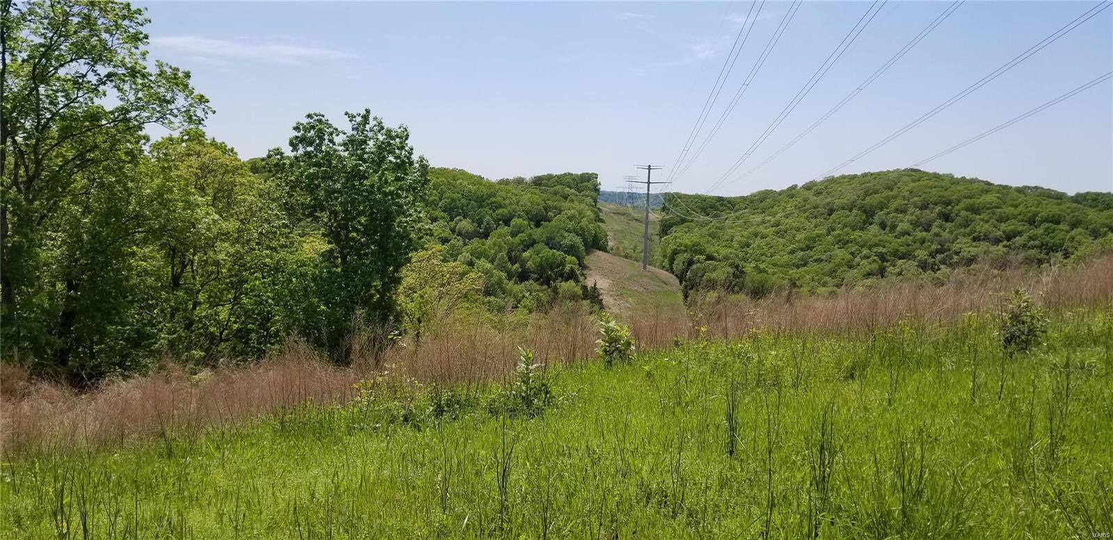 0 Davis Drive High Ridge, MO 63049 - Photo 3 of 3