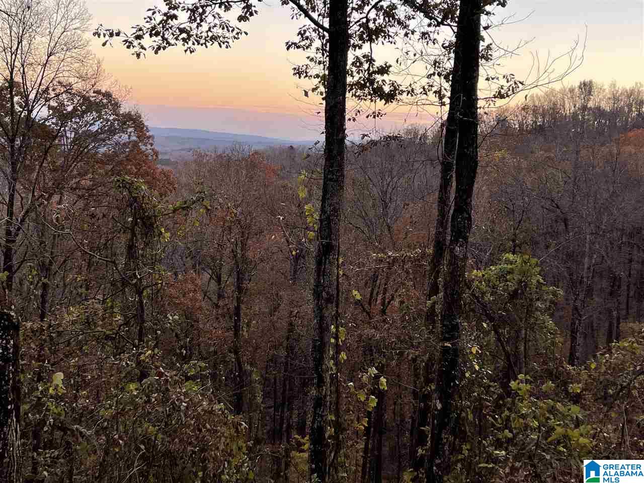 7931 Goodner Mountain Road Trussville, AL 35173 - Photo 17 of 20