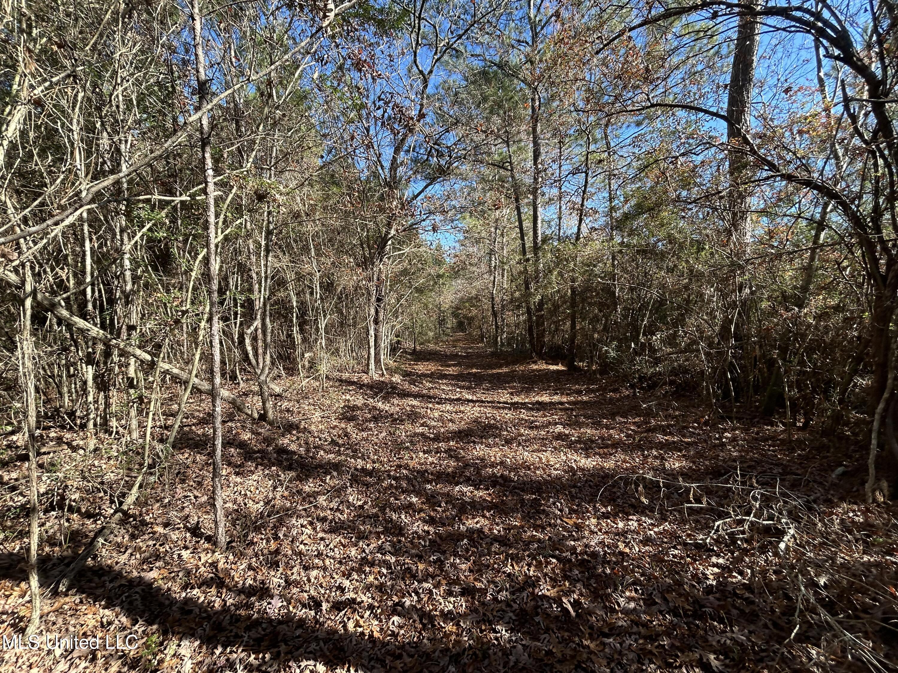 . Dwain Road Osyka, MS 39657 - Photo 23 of 31 IMG_1467