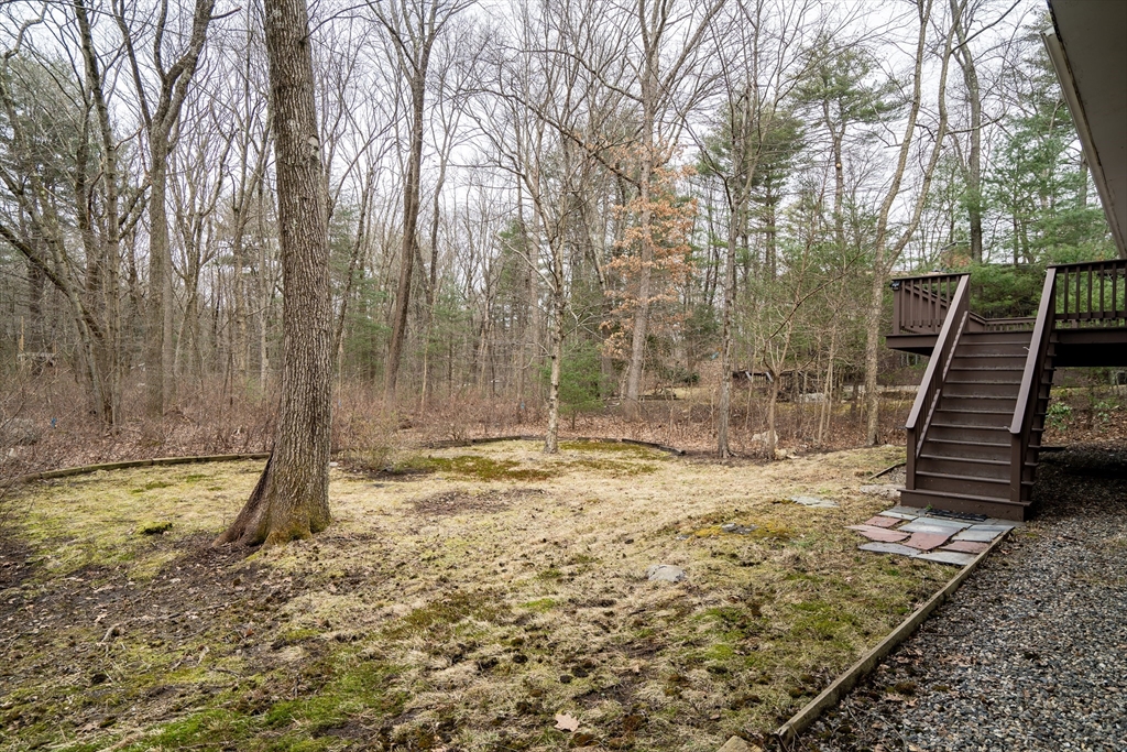 22 Partridge Road Lexington, MA 02420 - Photo 39 of 42 a view of a backyard with trees
