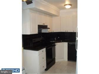 3768 Lankenau Road Philadelphia, PA 19131 - Photo 3 of 10 Unit #1