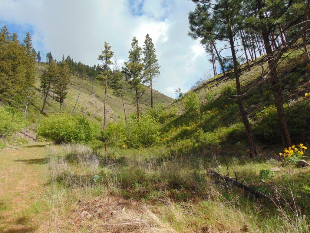 27235 Lazy Springs Road Clinton, MT 59825 - Photo 75 of 94 Gallery Image 75