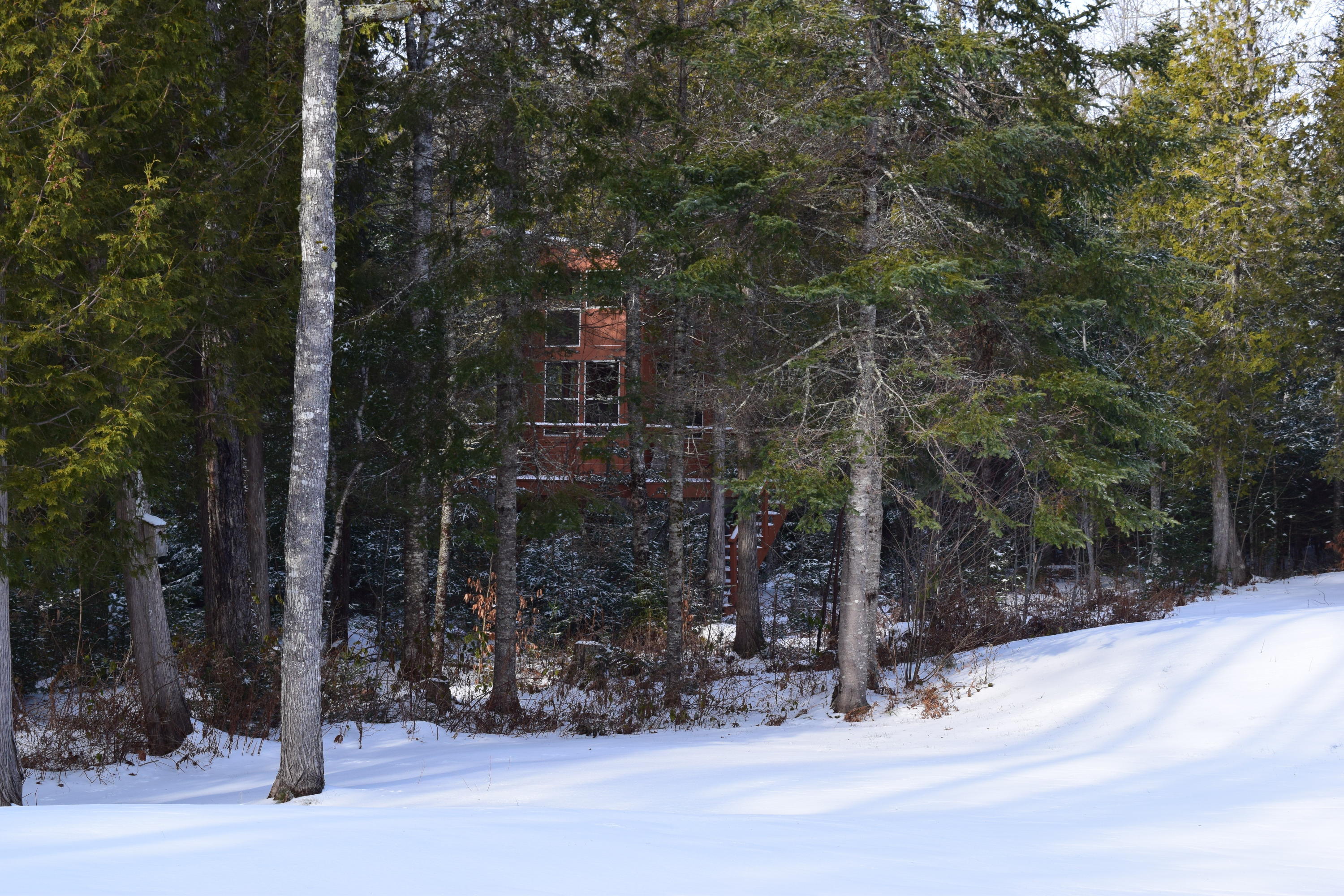 41 Addie Road Ellsworth, ME 04605 - Photo 33 of 34 DSC_0066