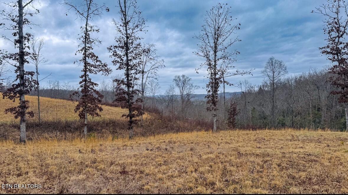 1682 Clifty Crk Road Winfield, TN 37892 - Photo 2 of 12 IMG_0977