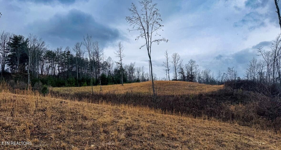 1682 Clifty Crk Road Winfield, TN 37892 - Photo 3 of 12 IMG_0978