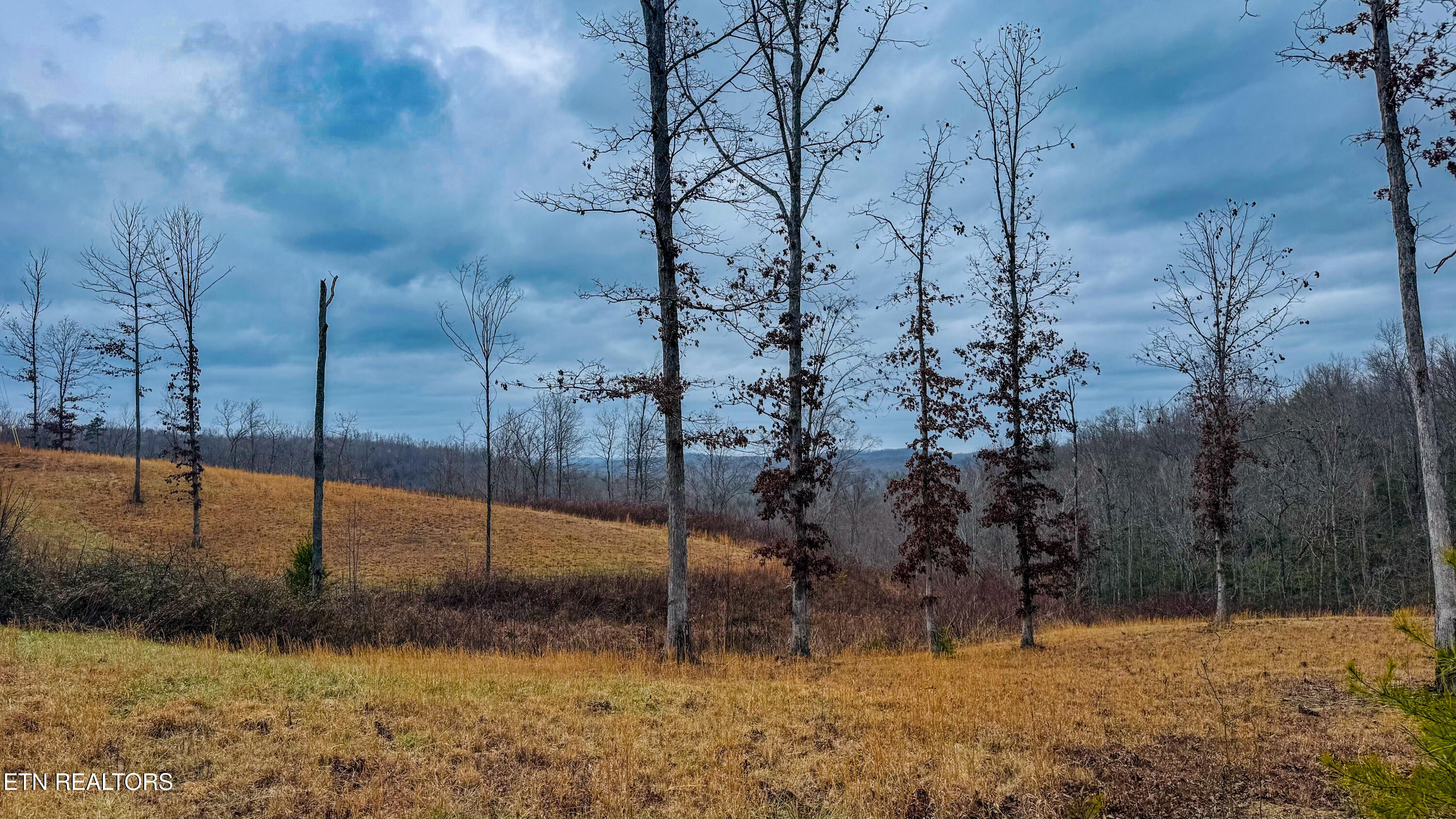 1682 Clifty Crk Road Winfield, TN 37892 - Photo 5 of 12 IMG_0935