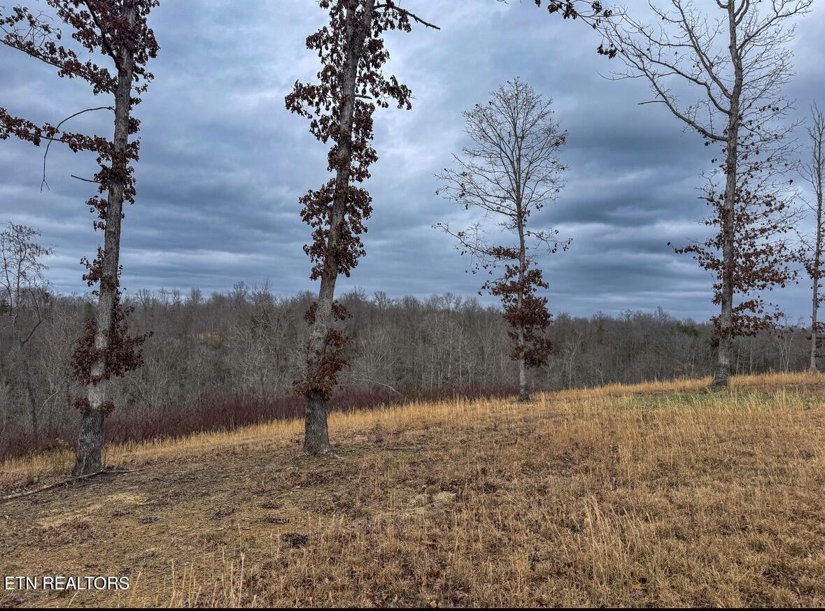 1682 Clifty Crk Road Winfield, TN 37892 - Photo 7 of 12 IMG_0981