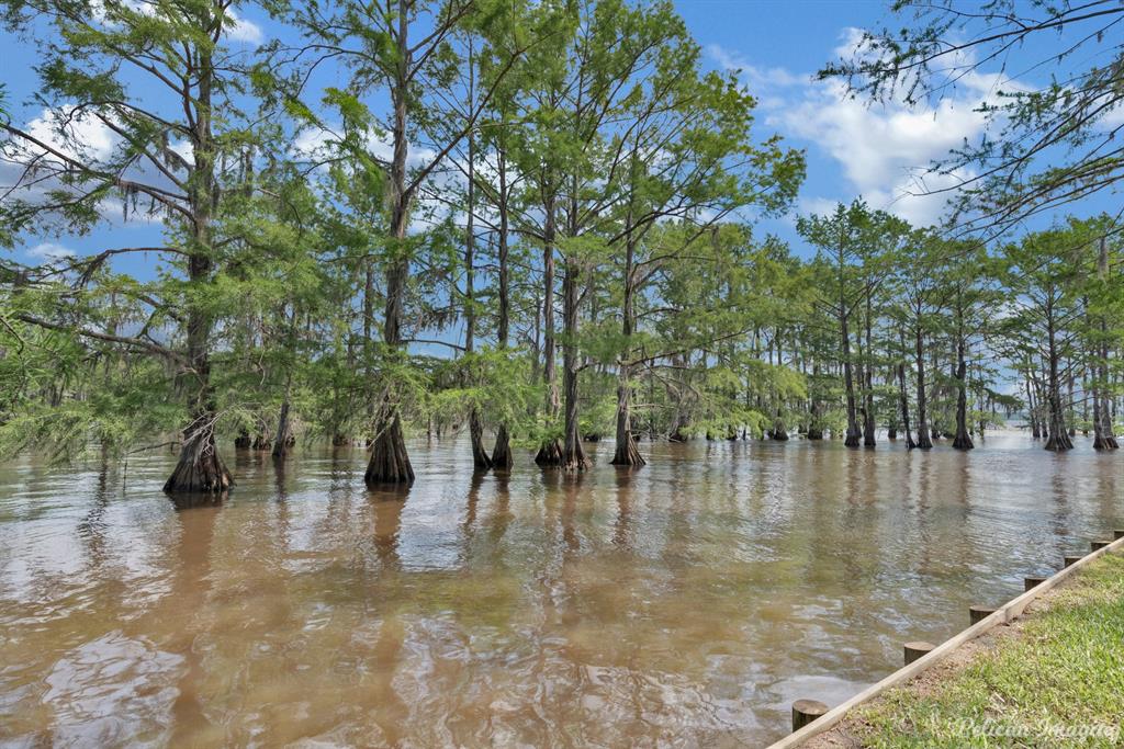 649 Moore Road Elm Grove, LA 71051 - Photo 2 of 13 a view of a lake with trees