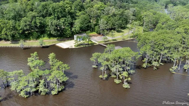 a view of a garden with a lake