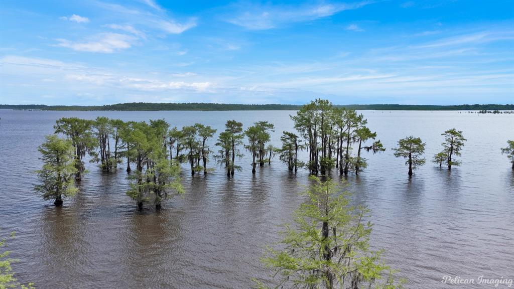 649 Moore Road Elm Grove, LA 71051 - Photo 7 of 13 a view of a lake with a mountain in the background