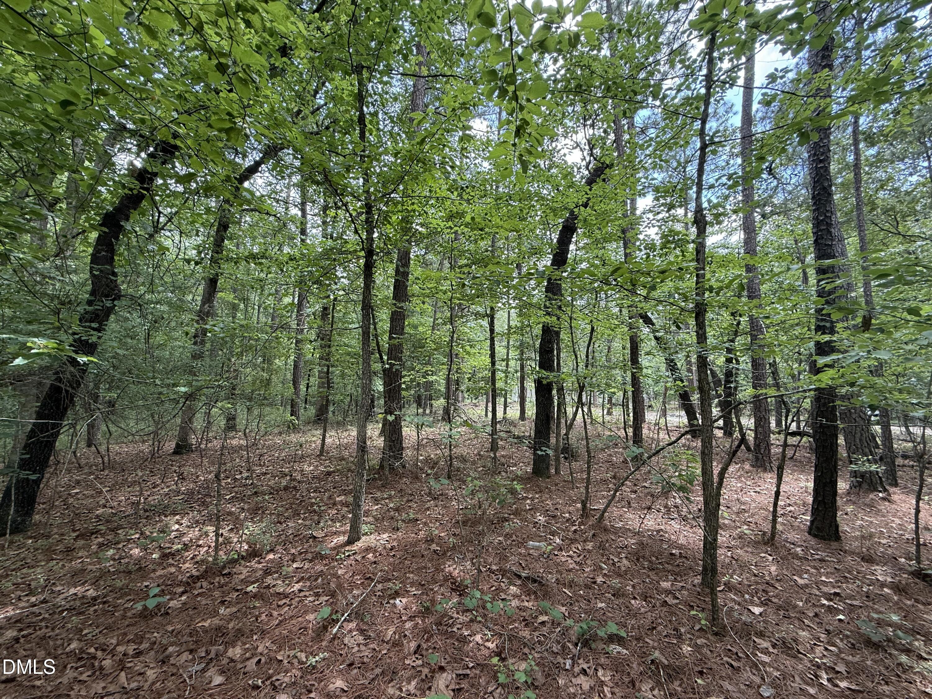 0 Elfman Drive Spring Lake, NC 28390 - Photo 13 of 40 a view of outdoor space and tree