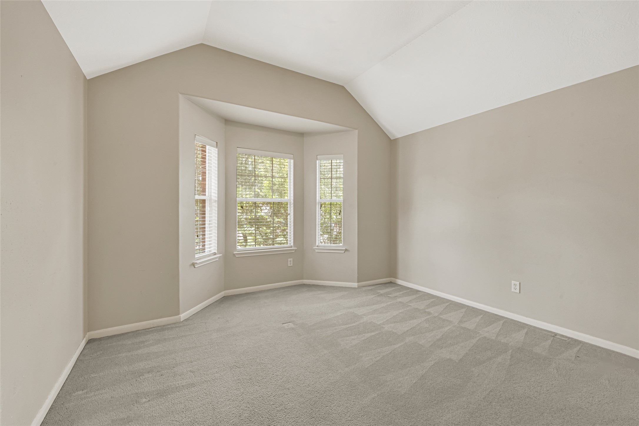 3714 Flannery Ridge Lane Houston, TX 77047 - Photo 22 of 27
