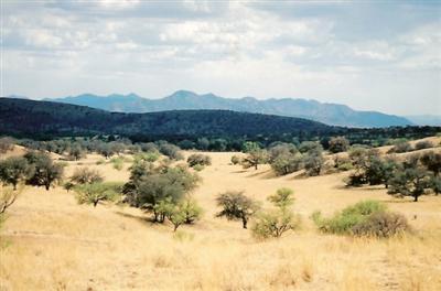 0 Sierra Grande Ranch Road, Unit 4B Sonoita, AZ 85637 - Photo 1 of 3