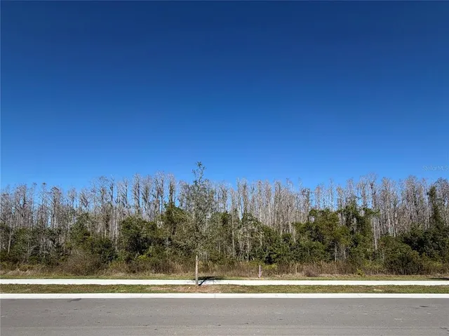 $2,800 | 17594 Pleasantview Boulevard, Land O Lakes, FL 34638