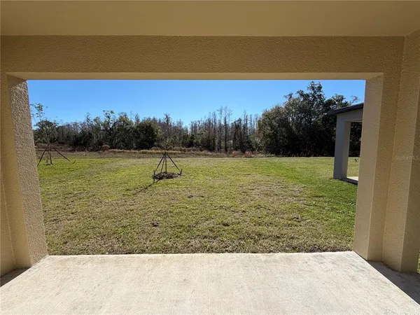 a view of a field with a tree in the background
