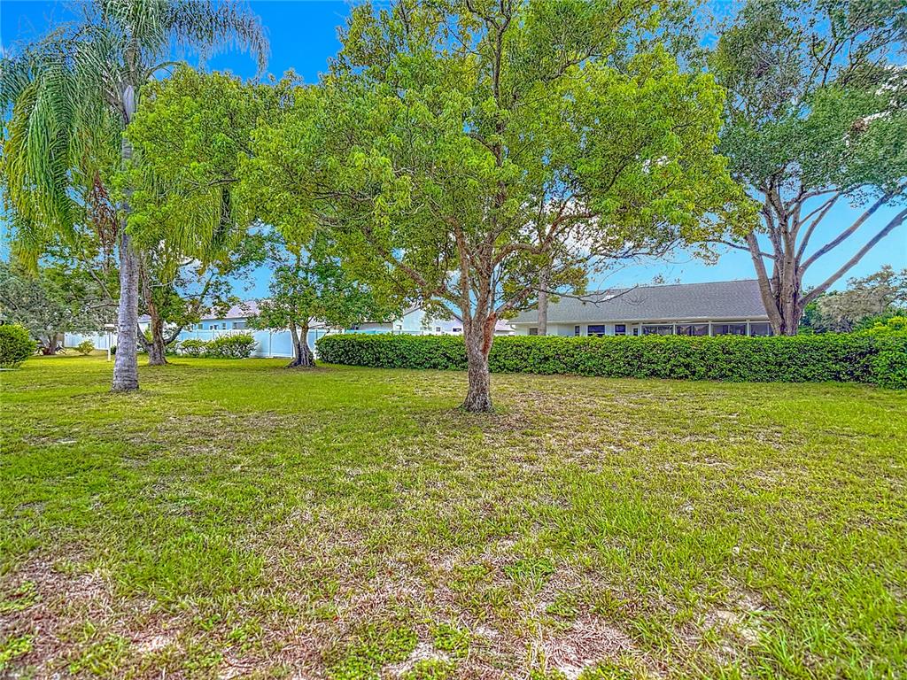 11034 Cranston Street Spring Hill, FL 34608 - Photo 34 of 40 a view of a trees with a big yard