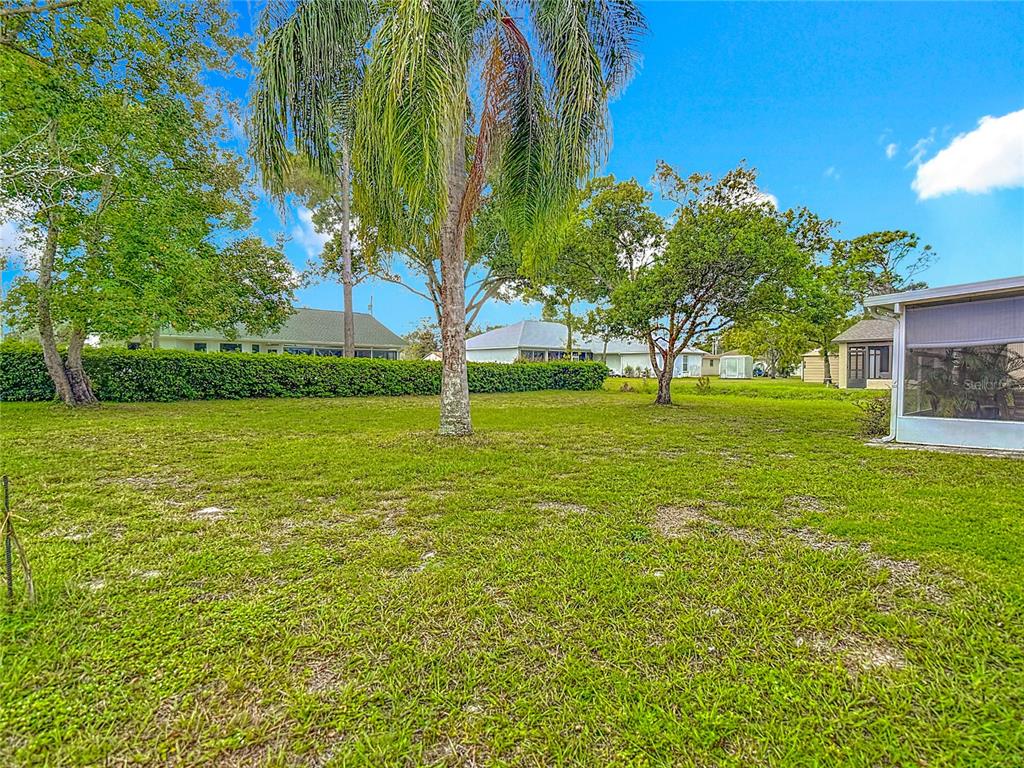 11034 Cranston Street Spring Hill, FL 34608 - Photo 35 of 40 a view of a field with a tree