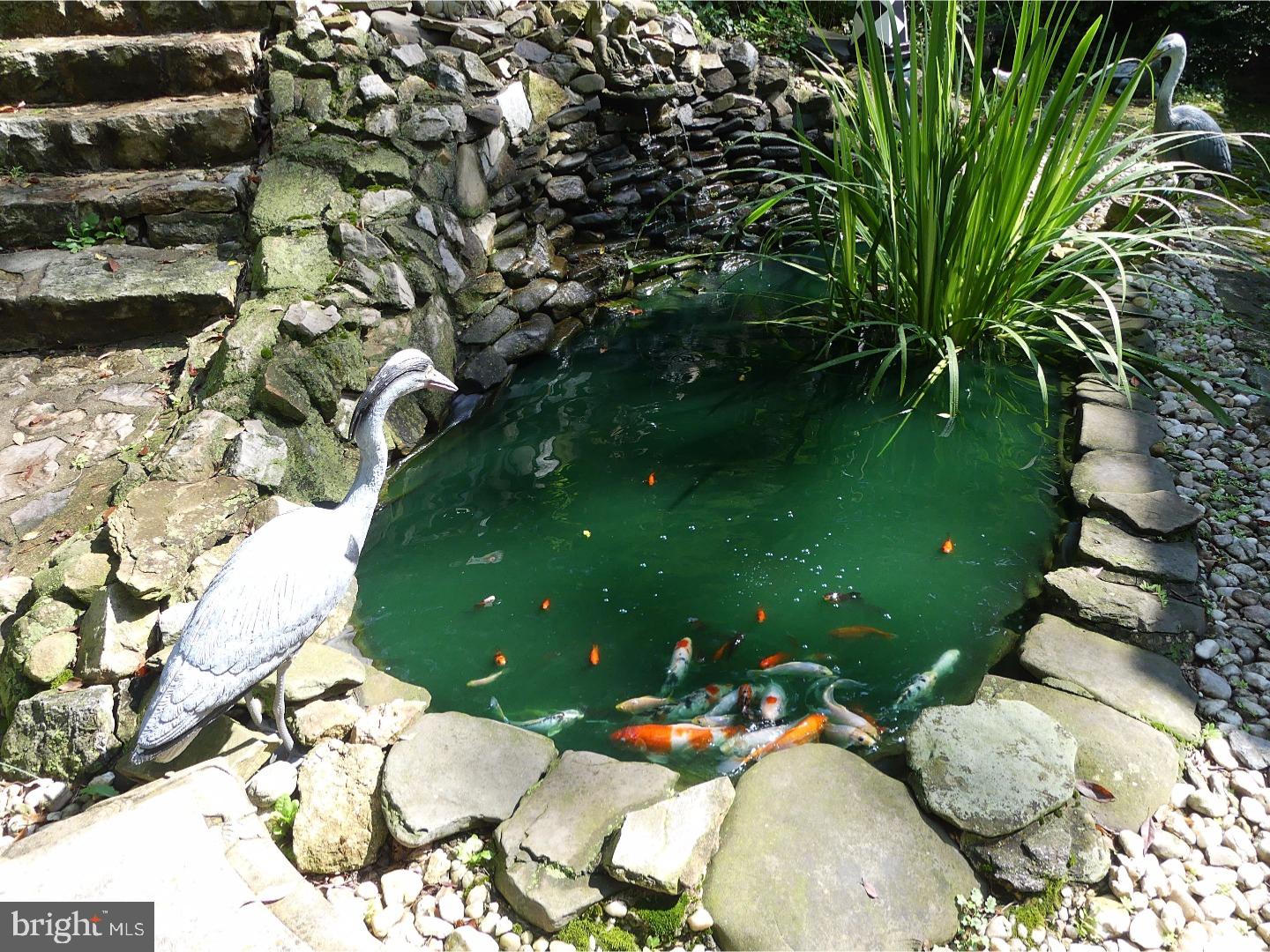 1621 Mineral Spring Road Reading, PA 19602 - Photo 7 of 25 Lake / Pond