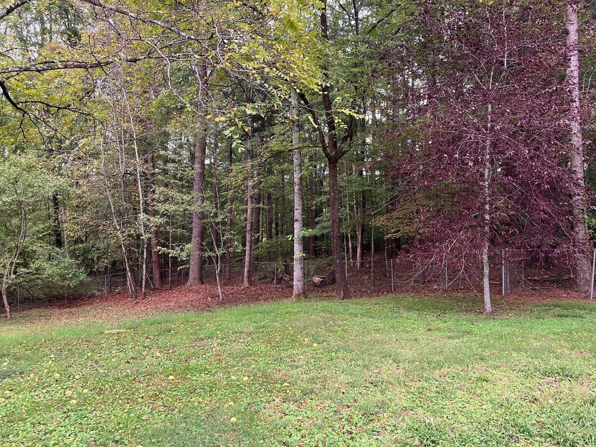 264 Ball Park Road Sewanee, TN 37375 - Photo 38 of 39
