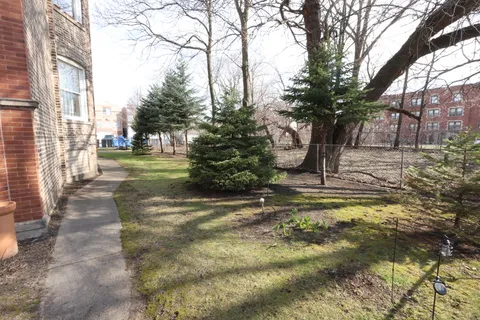 a view of a yard with plants and trees